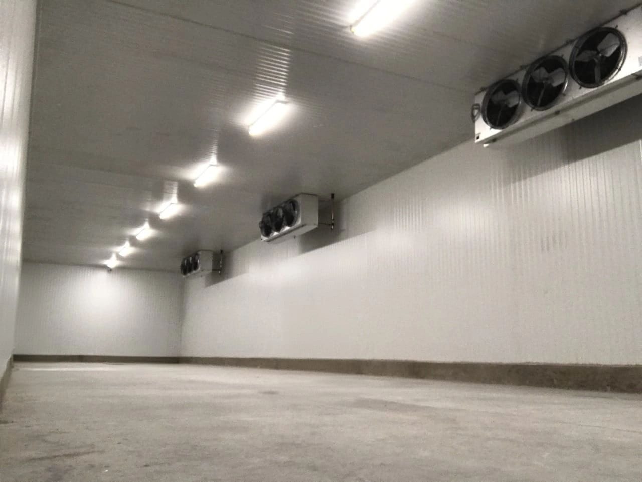 Interior de cuarto frío industrial ALPROCON con unidades de refrigeración